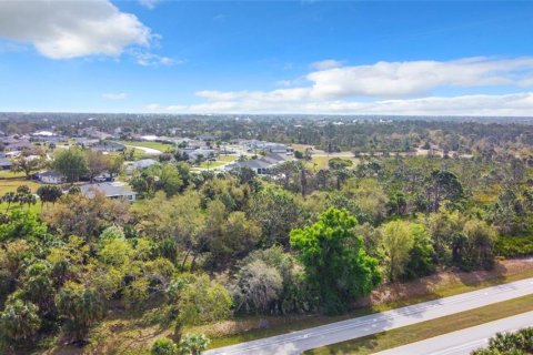 Land in Rotonda, Florida № 1039006 - photo 10