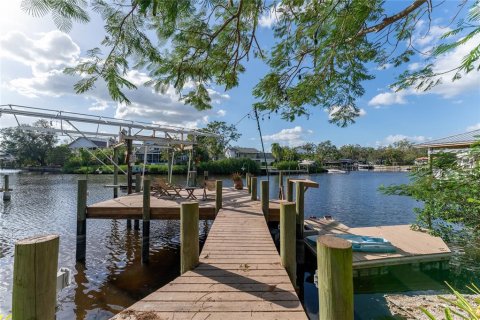 Villa ou maison à vendre à Tampa, Floride: 4 chambres, 222.41 m2 № 1410280 - photo 8