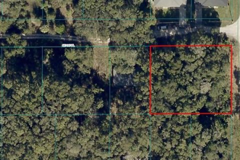 Terreno en venta en Summerfield, Florida № 1243380 - foto 1