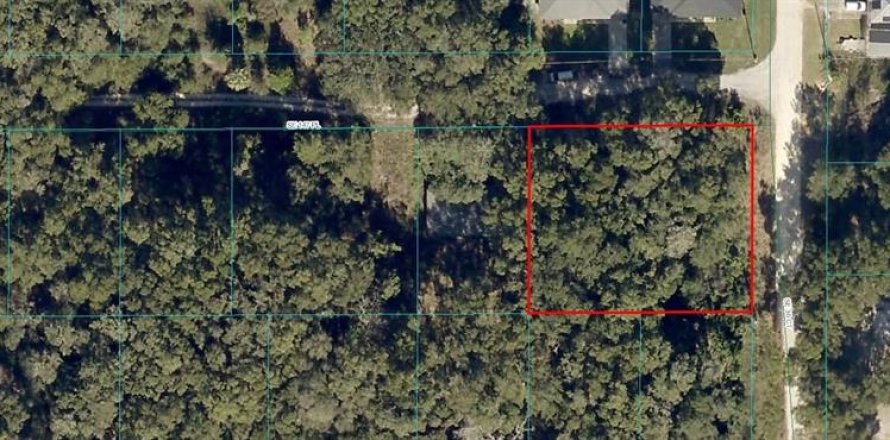 Land in Summerfield, Florida № 1243380