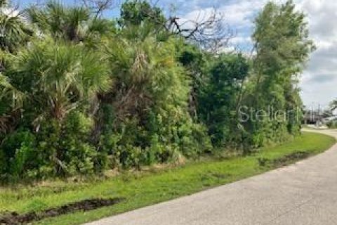 Terreno en venta en Englewood, Florida № 1057564 - foto 8