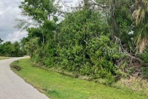 Terreno en venta en Englewood, Florida № 1057564 - foto 5