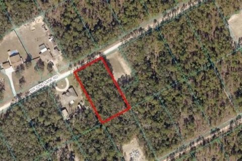 Terreno en venta en Lake Placid, Florida № 1021883 - foto 2