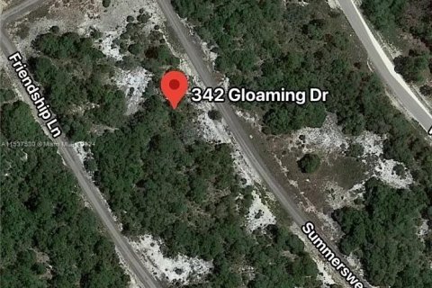 Land in Lake Placid, Florida № 1021883 - photo 3