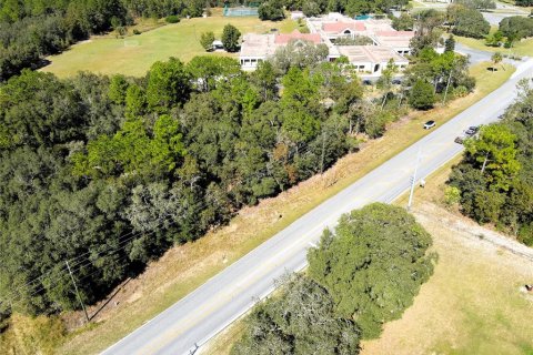 Terreno en venta en Lecanto, Florida № 1416191 - foto 13