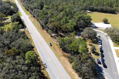 Terreno en venta en Lecanto, Florida № 1416191 - foto 14