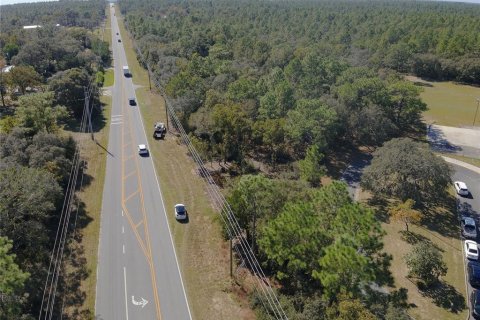 Terreno en venta en Lecanto, Florida № 1416191 - foto 7