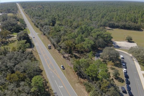 Terreno en venta en Lecanto, Florida № 1416191 - foto 15