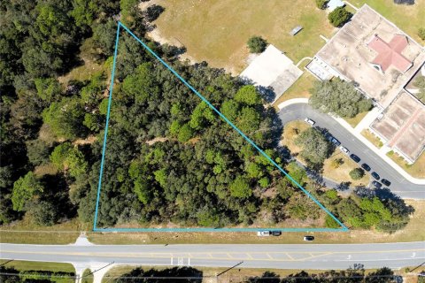 Terreno en venta en Lecanto, Florida № 1416191 - foto 1