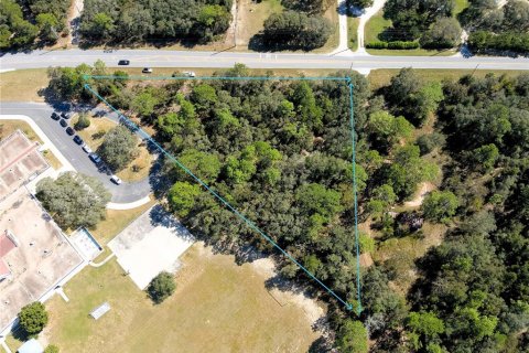 Terreno en venta en Lecanto, Florida № 1416191 - foto 10