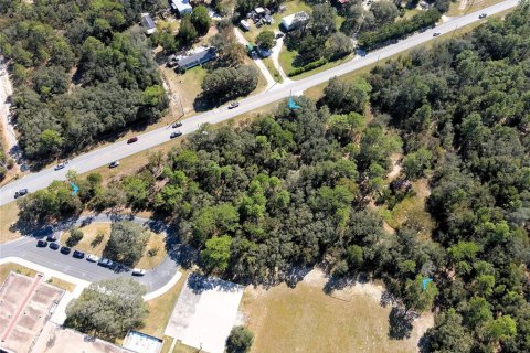 Terreno en venta en Lecanto, Florida № 1416191 - foto 5