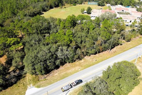 Terreno en venta en Lecanto, Florida № 1416191 - foto 6