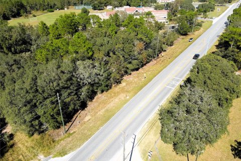 Terreno en venta en Lecanto, Florida № 1416191 - foto 18