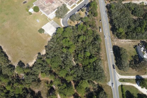 Terreno en venta en Lecanto, Florida № 1416191 - foto 9