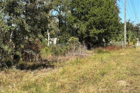 Terreno en venta en Lecanto, Florida № 1416191 - foto 23