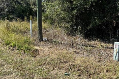 Terreno en venta en Lecanto, Florida № 1416191 - foto 22