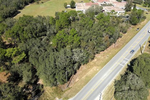 Terreno en venta en Lecanto, Florida № 1416191 - foto 17