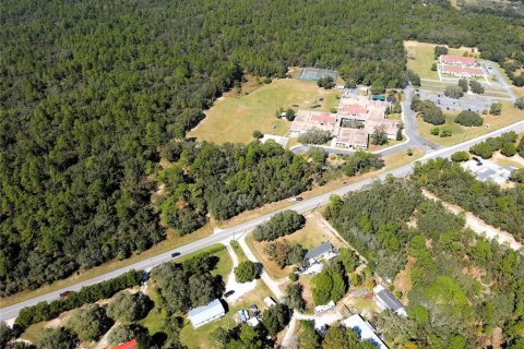 Terreno en venta en Lecanto, Florida № 1416191 - foto 4