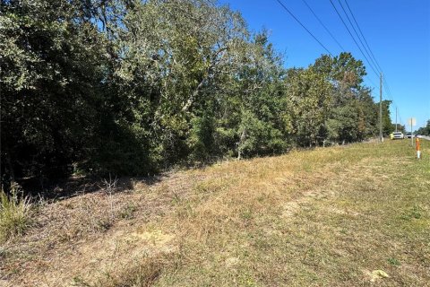 Terreno en venta en Lecanto, Florida № 1416191 - foto 21