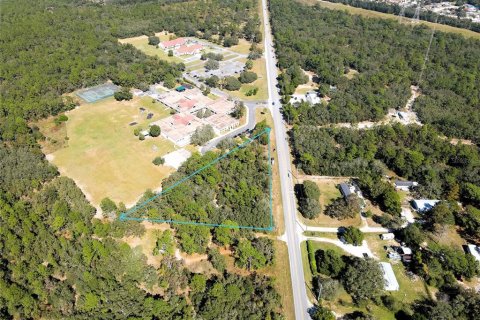 Terreno en venta en Lecanto, Florida № 1416191 - foto 3