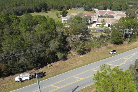 Terreno en venta en Lecanto, Florida № 1416191 - foto 8