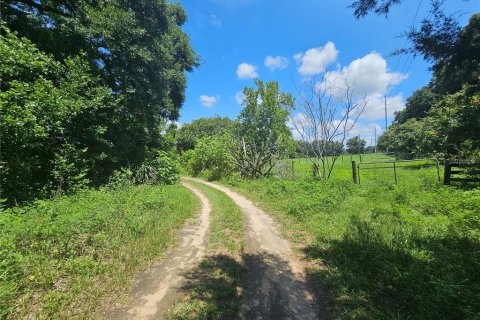 Land in Dade City, Florida № 1259506 - photo 7