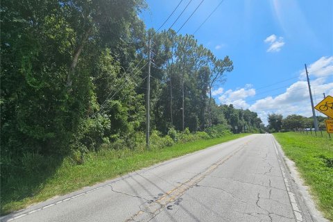 Terreno en venta en Dade City, Florida № 1259506 - foto 6