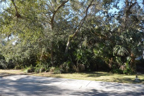 Terrain à vendre à Palm Coast, Floride № 1298143 - photo 4