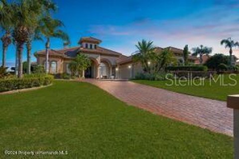 Villa ou maison à vendre à Dade City, Floride: 4 chambres, 430.6 m2 № 1307980 - photo 3