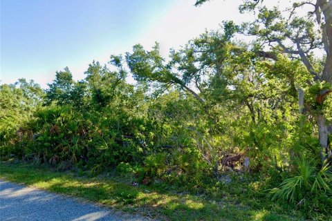 Land in North Port, Florida № 1264183 - photo 4