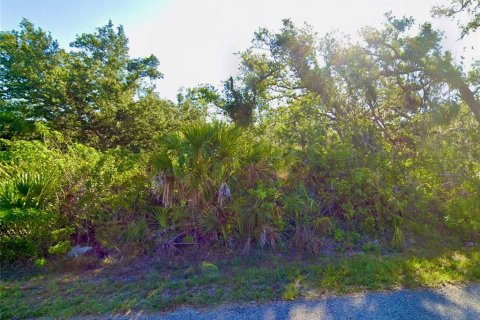 Land in North Port, Florida № 1264183 - photo 3