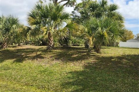 Terreno en venta en Edgewater, Florida № 1057377 - foto 7