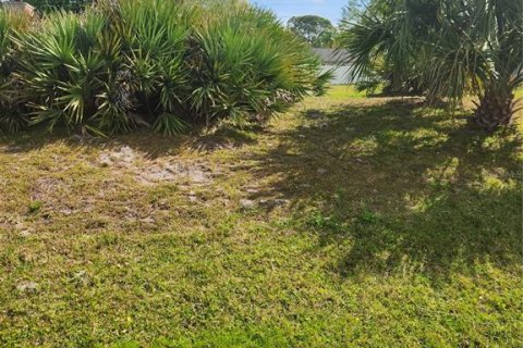 Terreno en venta en Edgewater, Florida № 1057377 - foto 8