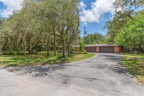 Villa ou maison à vendre à Hudson, Floride: 5 chambres, 374.95 m2 № 1266222 - photo 2