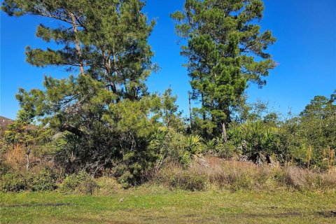 Terreno en venta en Palm Coast, Florida № 1433566 - foto 1