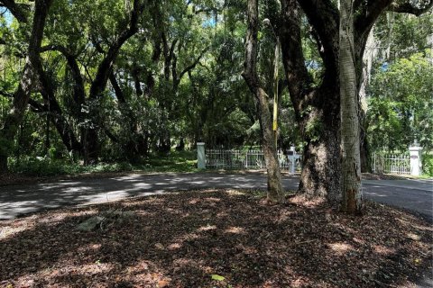 Land in Mount Dora, Florida № 1346852 - photo 2