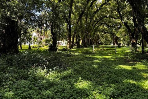 Terrain à vendre à Mount Dora, Floride № 1346852 - photo 6