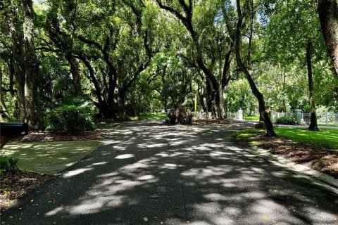 Land in Mount Dora, Florida № 1346852 - photo 11