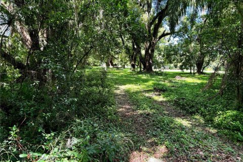 Land in Mount Dora, Florida № 1346852 - photo 10