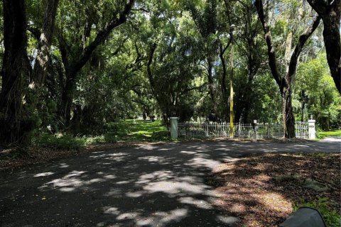 Terreno en venta en Mount Dora, Florida № 1346852 - foto 1