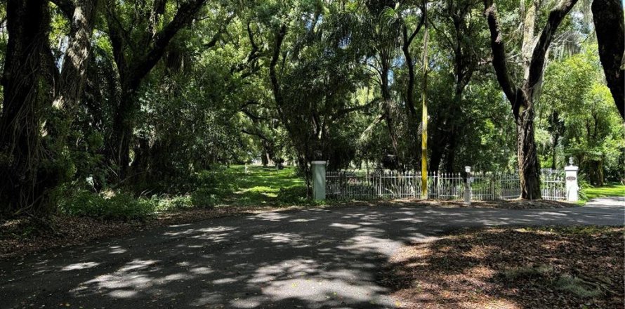 Terrain à Mount Dora, Floride № 1346852