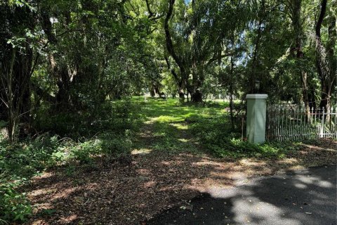 Terreno en venta en Mount Dora, Florida № 1346852 - foto 3