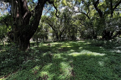 Terrain à vendre à Mount Dora, Floride № 1346852 - photo 4