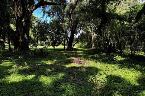 Terrain à vendre à Mount Dora, Floride № 1346852 - photo 7