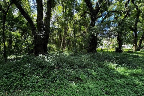 Land in Mount Dora, Florida № 1346852 - photo 5