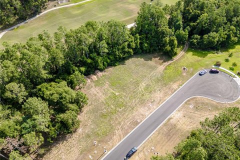 Terreno en venta en Brooksville, Florida № 1243007 - foto 2