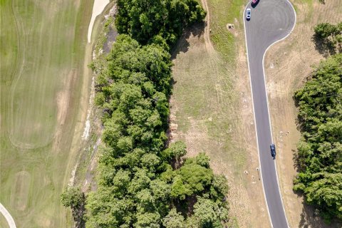 Land in Brooksville, Florida № 1243007 - photo 8