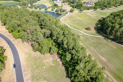 Terreno en venta en Brooksville, Florida № 1243007 - foto 5