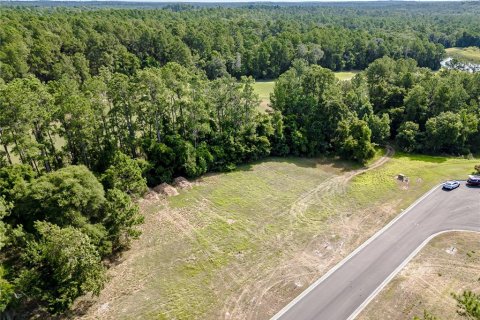 Land in Brooksville, Florida № 1243007 - photo 1