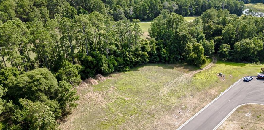 Terreno en Brooksville, Florida № 1243007